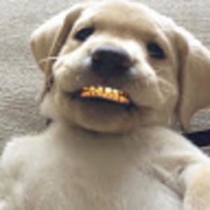 Meet your Posher, Joshua